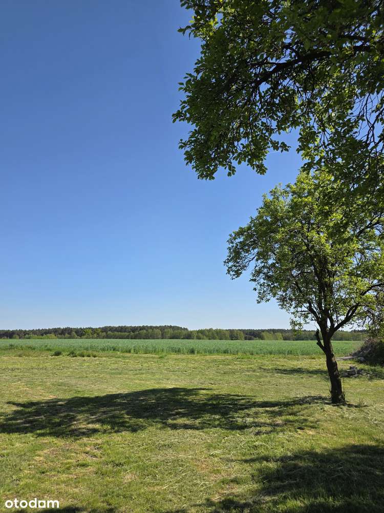 Działka budowlana w Kaszczorze, blisko Jeziora Wieleńskiego-9