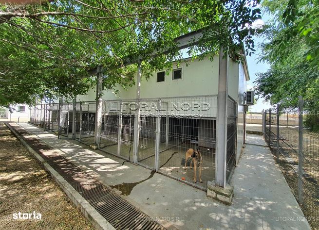 Exclusivitate-Ovidiu-Pet Hotel, 220 mp utili,teren intravilan 1.400mp-9