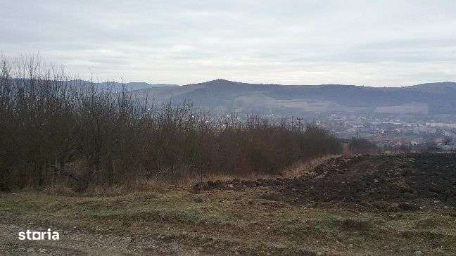 ID 9459: Teren 5.100 mp - Lechinta, Bistrita Nasaud - Imagine principală: 5/13