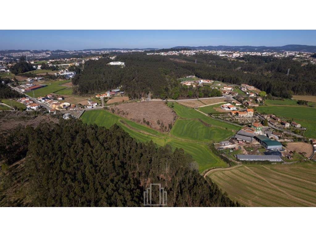 Terreno Rústico - S. Vicente Pereira Jusã, Ovar - Grande imagem: 5/7