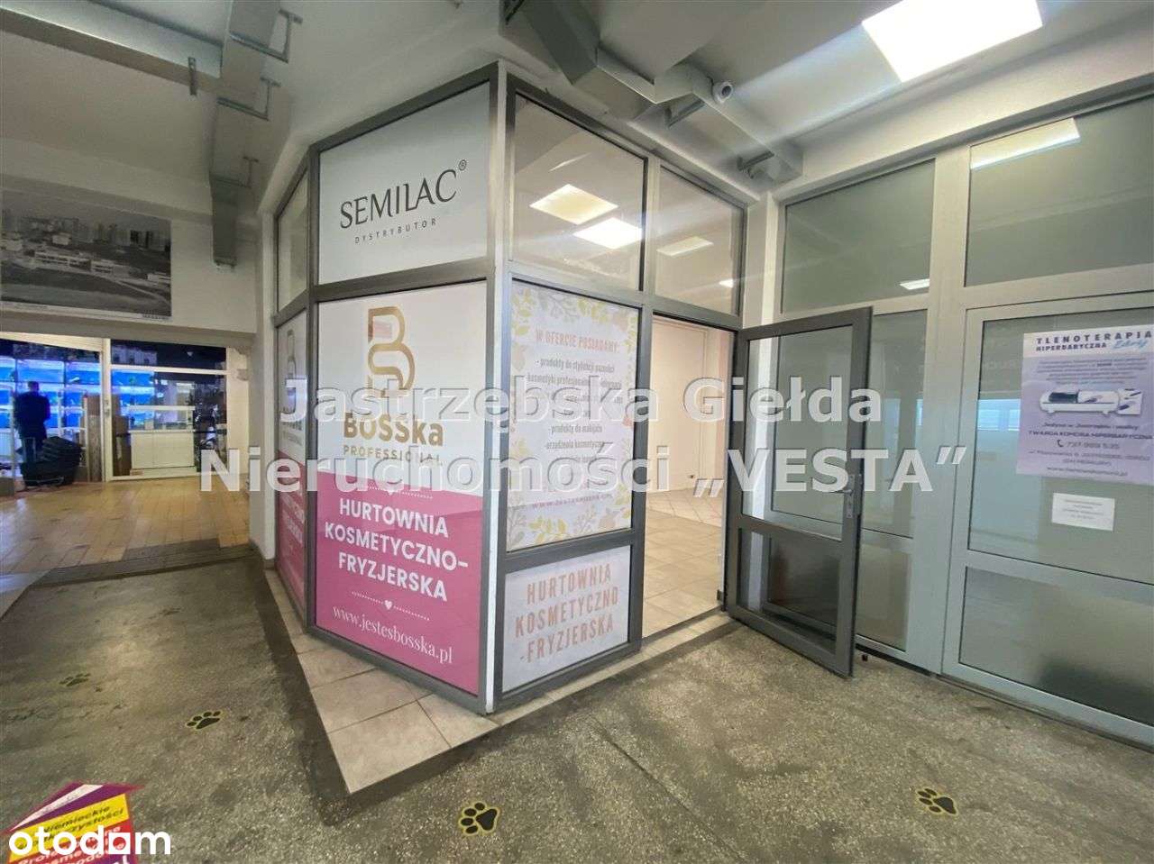 5 Lokali Do Wynajęcia W Centrum Miasta - Pełny obrazek: 4/14