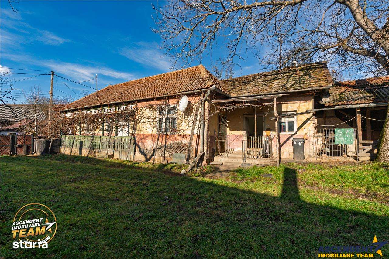 FILM! Casa si anexe, pe domeniu de 6.221mp,  livada pomi fructiferi, L - Imagine principală: 2/20