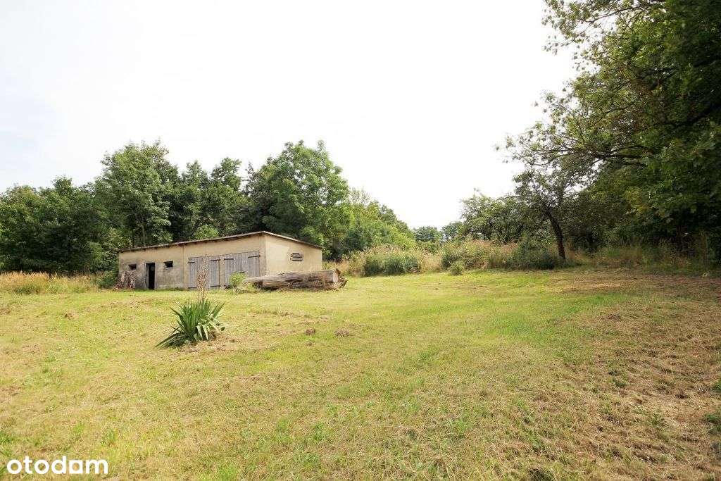 Poniemiecki budynek mieszkalny z potencjałem - Pełny obrazek: 4/20