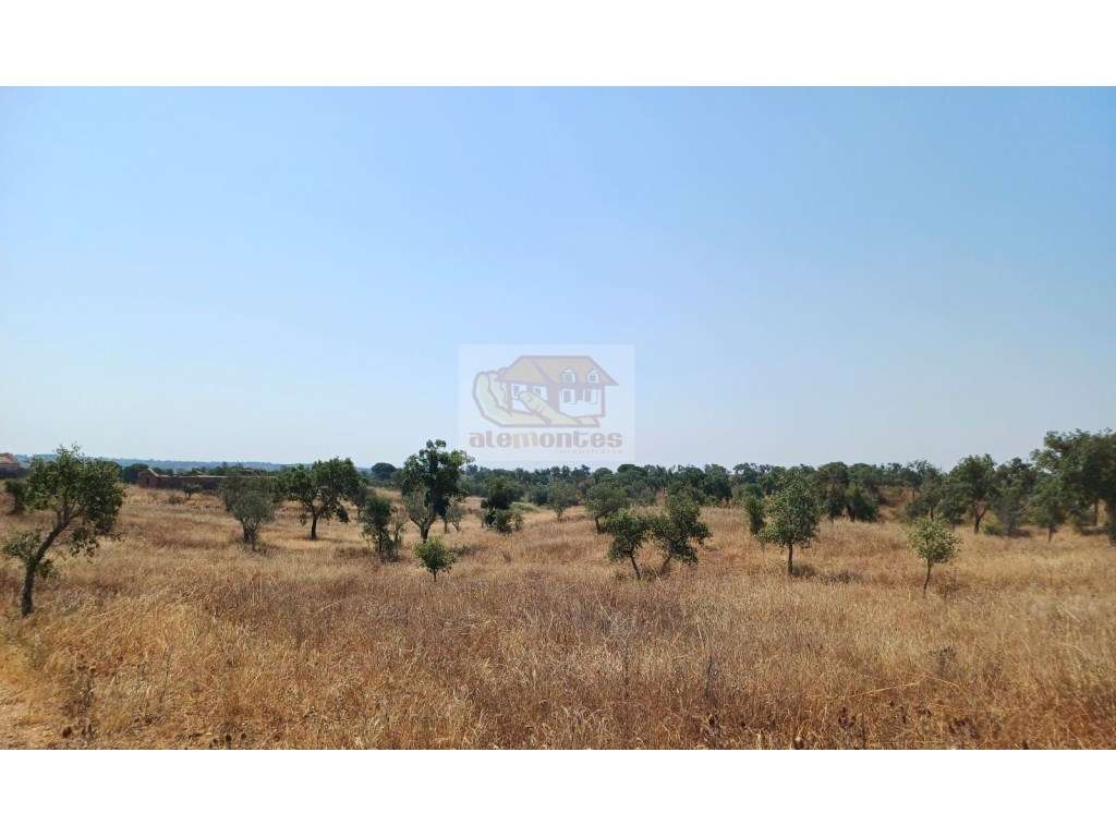 Monte Alentejano com várias ruínas para recuperar - 20 minutos Lago...-4