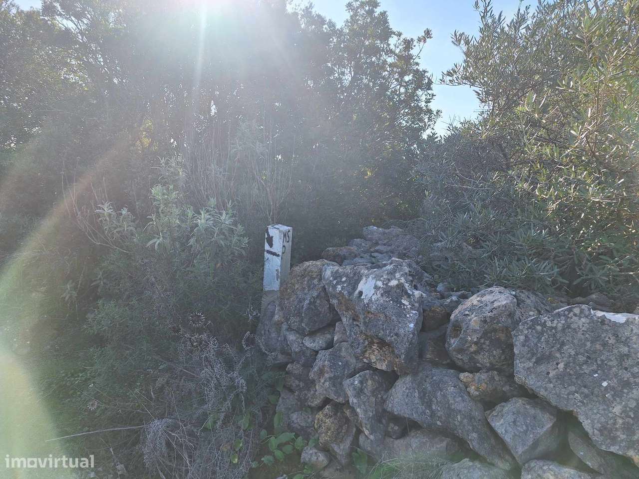 Terreno Rústico no Sítio do Laranjeiro de Santa Catarina da Fonte d...-9