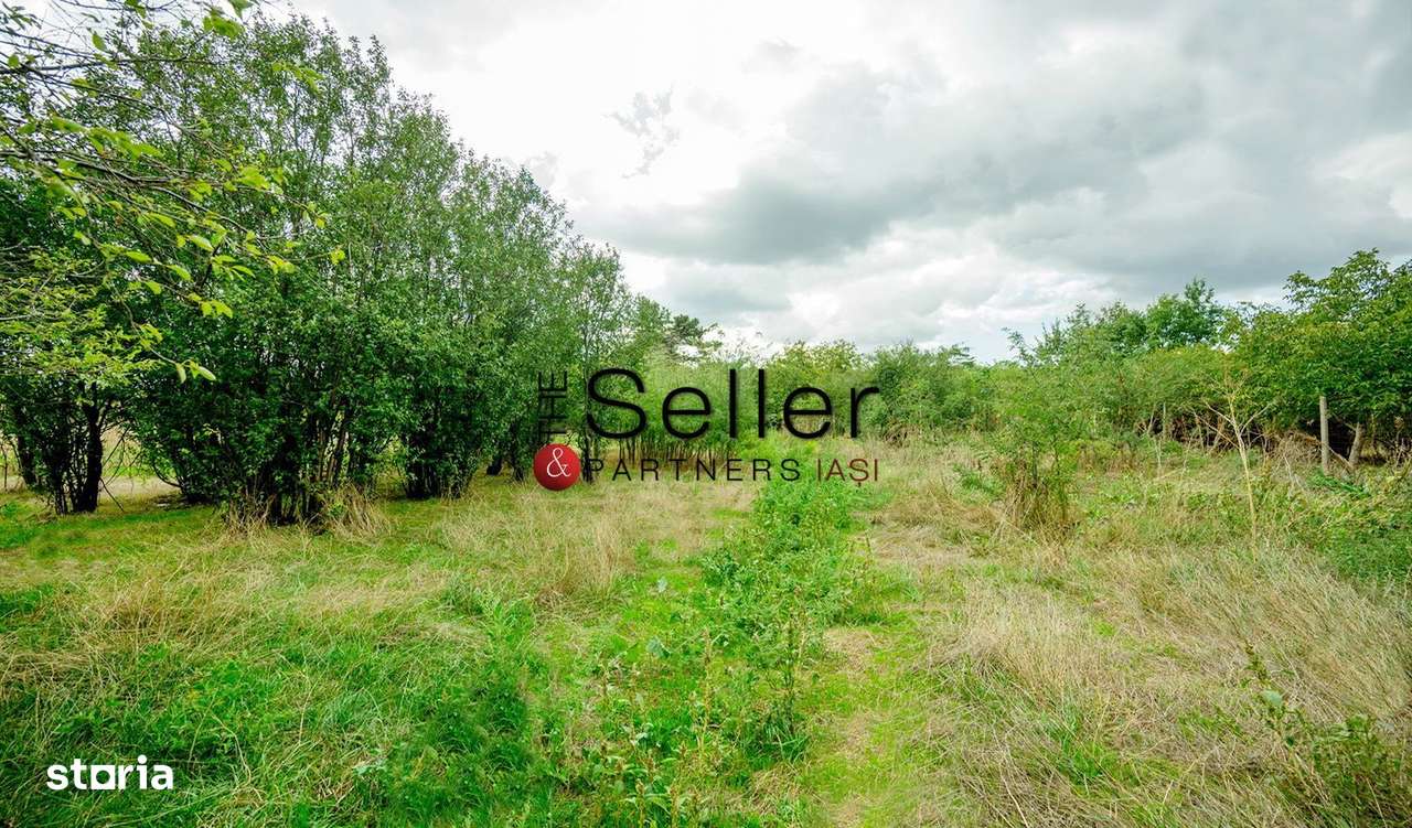 Teren 2.557 mp plan, langa pădurea Galata-7