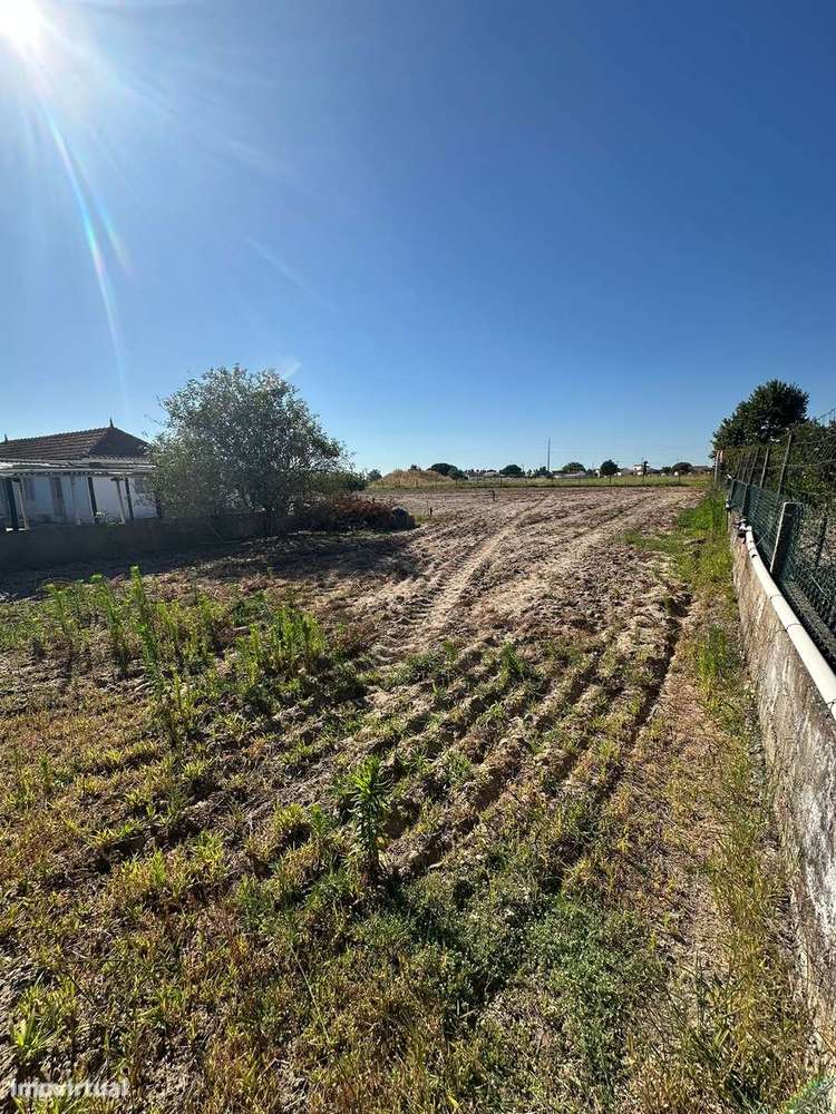 Quintinha com Moradia T2 em Foros Salvaterra-10