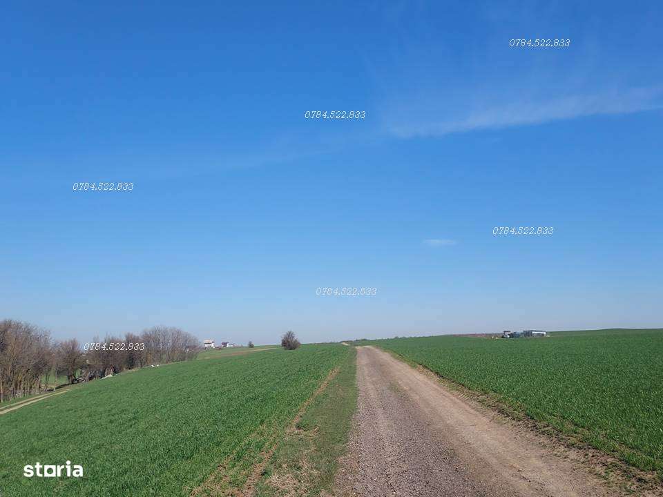 Teren intravilan 625 m² – Rate cu avans mic, fără dobândă, Berceni IF - Imagine principală: 4/5