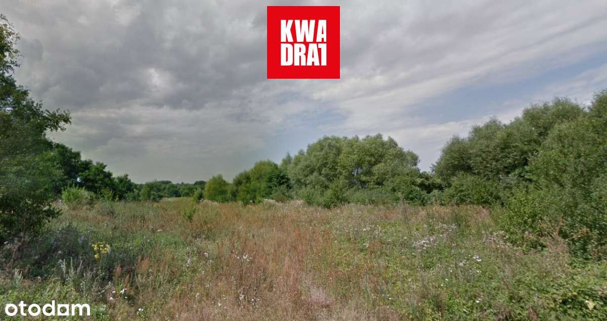 Działka zadrzewiona na użytkach rolnych | Młódnice-2