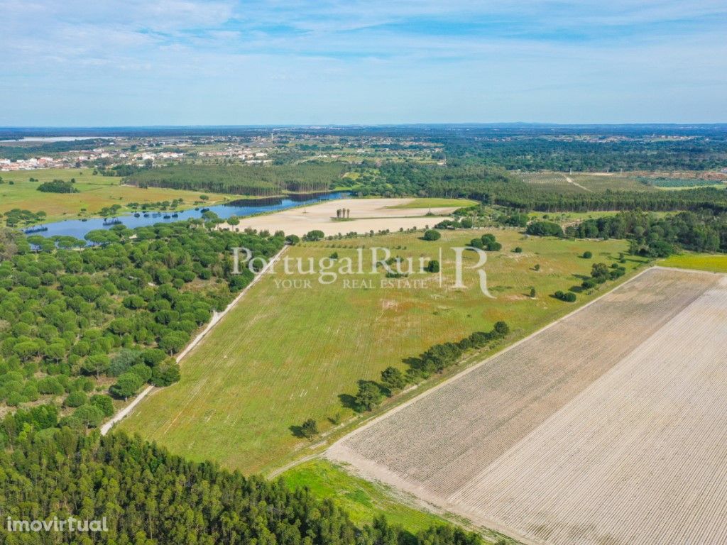 Quinta com 13,2 hectares em Pegões