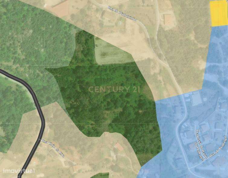 Quintinha em Cavernães, Viseu - Grande imagem: 4/5