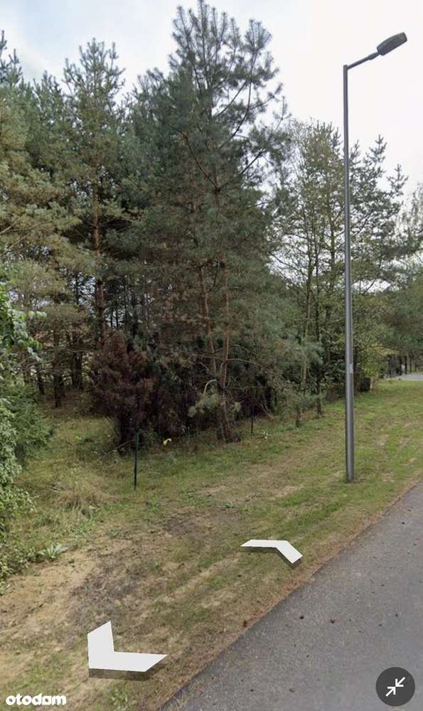 Duża działka 9855 m² z liną brzegową, przy lesie. - Pełny obrazek: 3/6