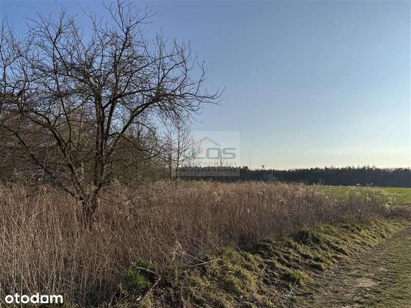 Działka budowlana - Pierwoszów - Pełny obrazek: 4/7