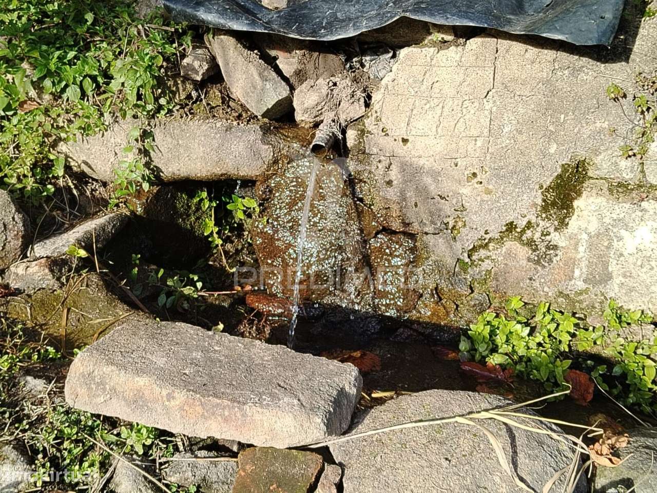 Terreno Carreiras - Grande imagem: 5/10