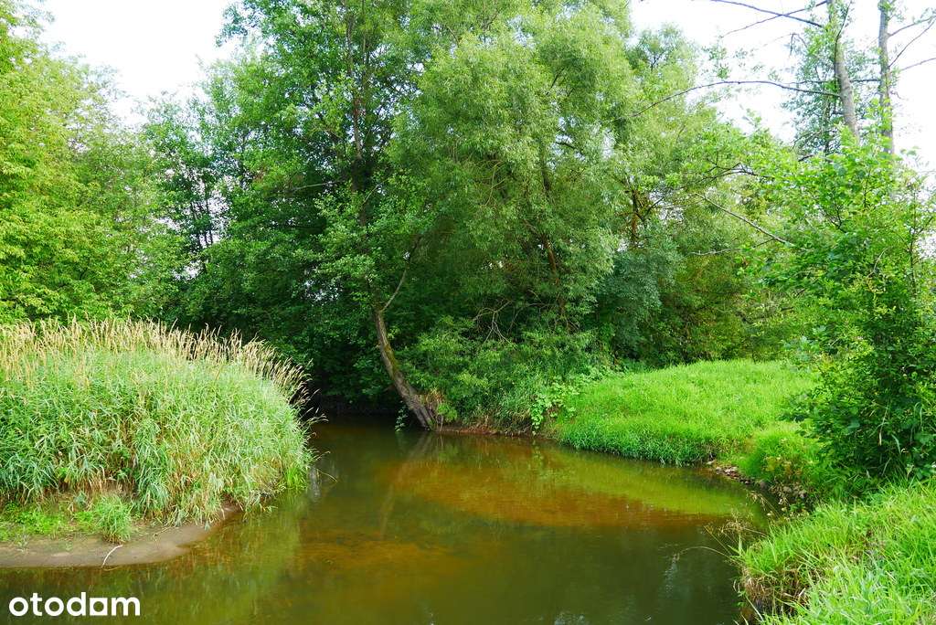 działka budowlana 3100 m2 marzysz ! - Pełny obrazek: 5/7