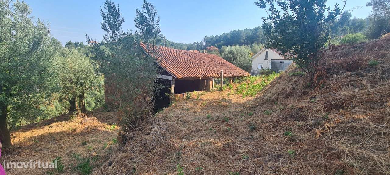 Terreno para construção em Deocriste.-4