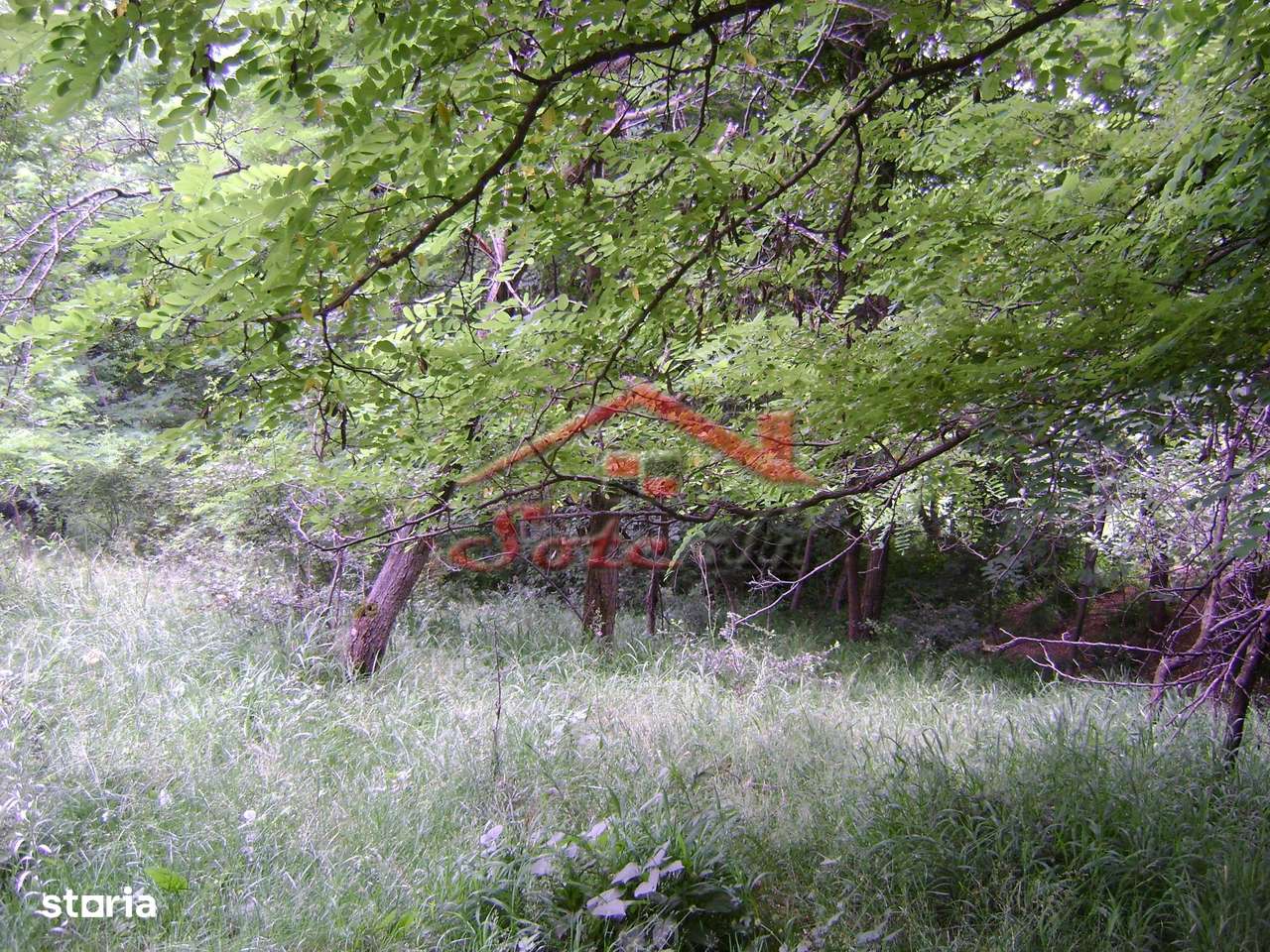 Teren de vanzare Cornu 3074 mp-3