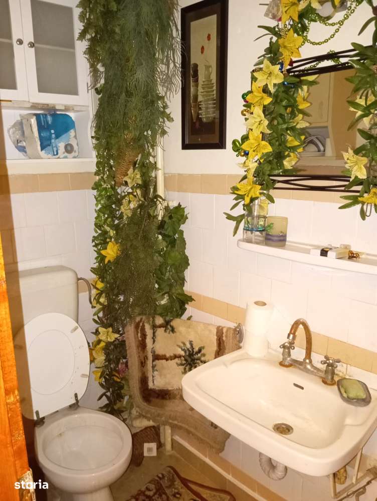 Apartament 3 camere in orasul Sebis-14