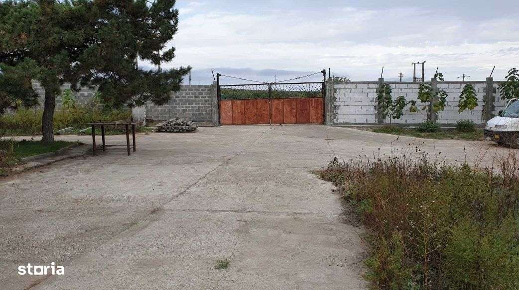 Vând hală cu teren și platformă betonată în Murfatlar - Imagine principală: 5/7