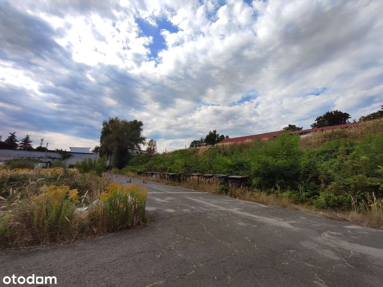 Wynajmij teren w centrum  8220 m², Armii Krajowej - Pełny obrazek: 4/15