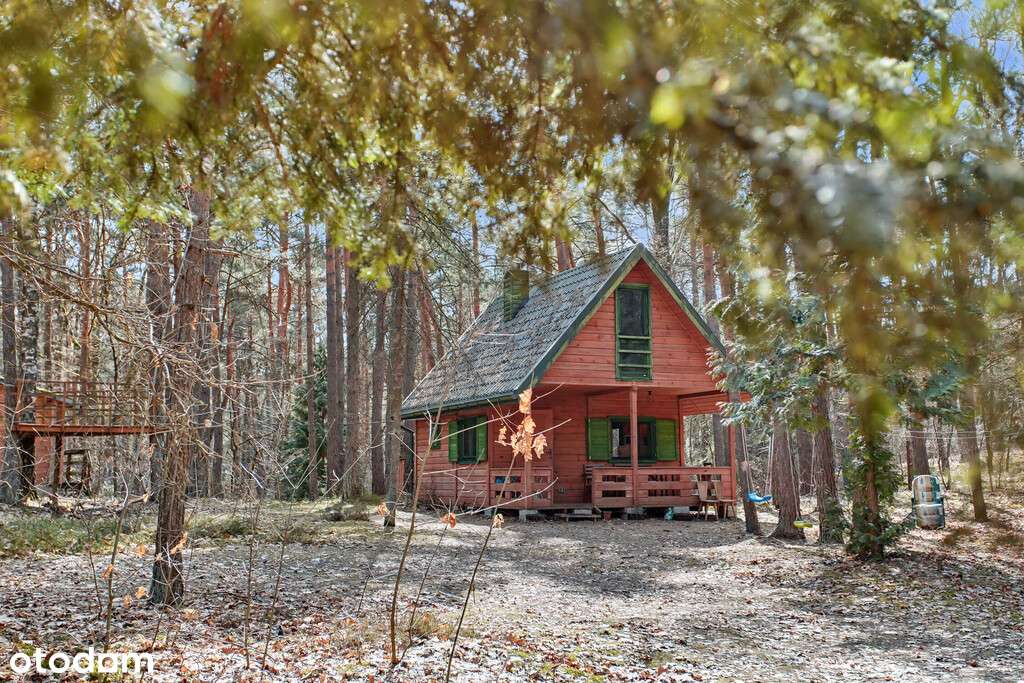 Kompleks domków wypoczynkowych, Osiedle Wilga