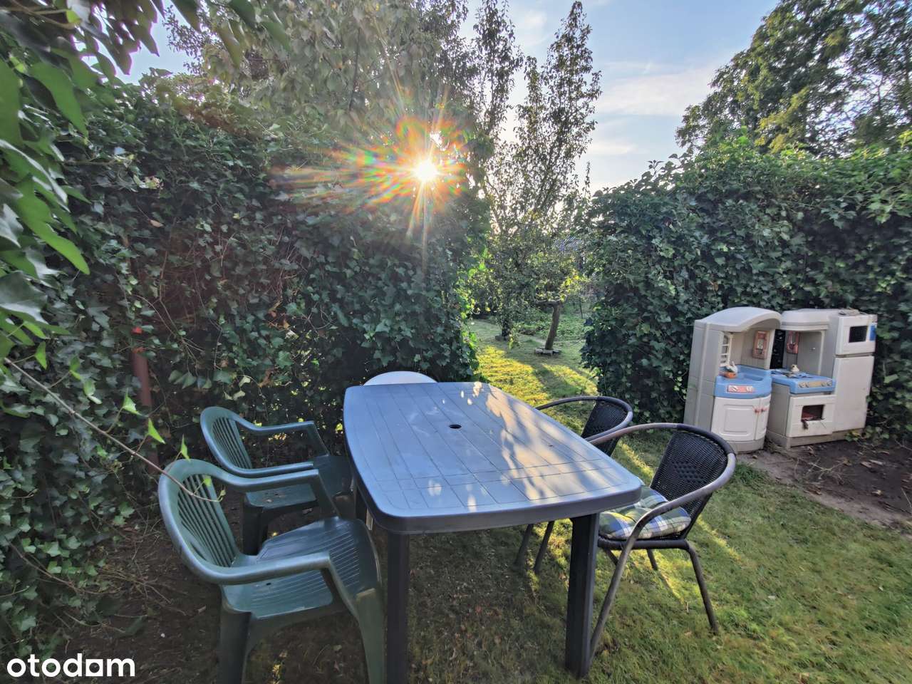 działka ROD „Kwiatkowskiego” w Gdyni – 290 m² z domkiem i nasadzeniami-7