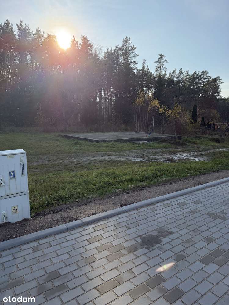 Działka Bory Tucholskie Osie k. Tlenia, Media, Las - Pełny obrazek: 5/7