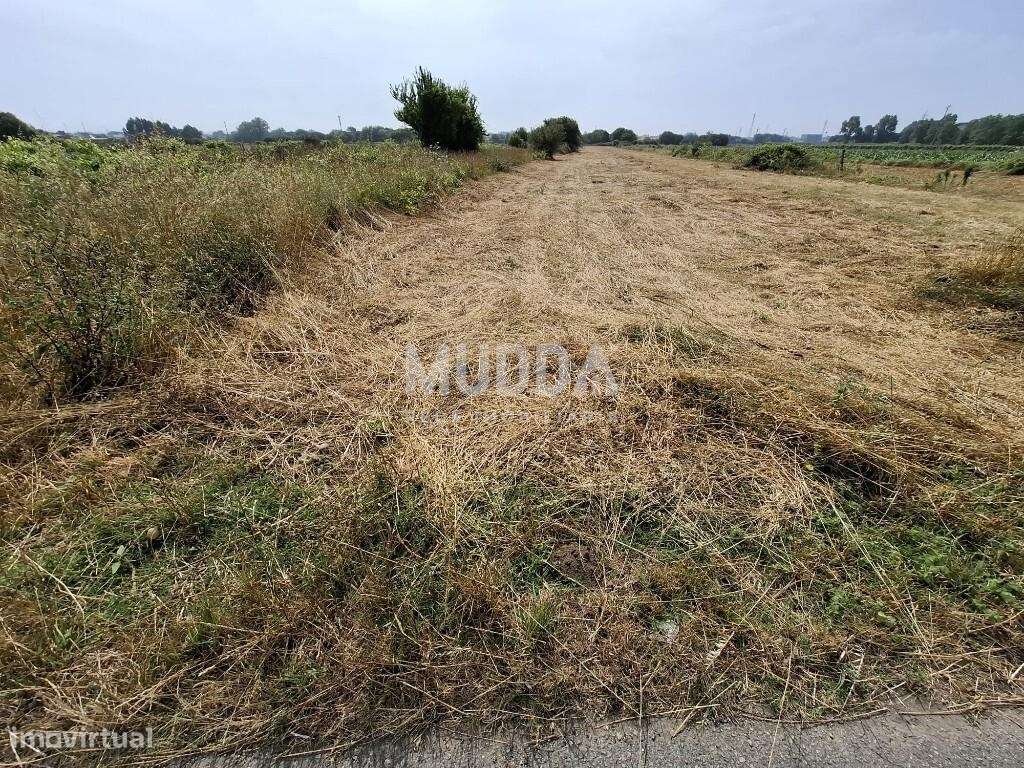 Terreno Rústico, Cacia, Aveiro - Grande imagem: 3/6