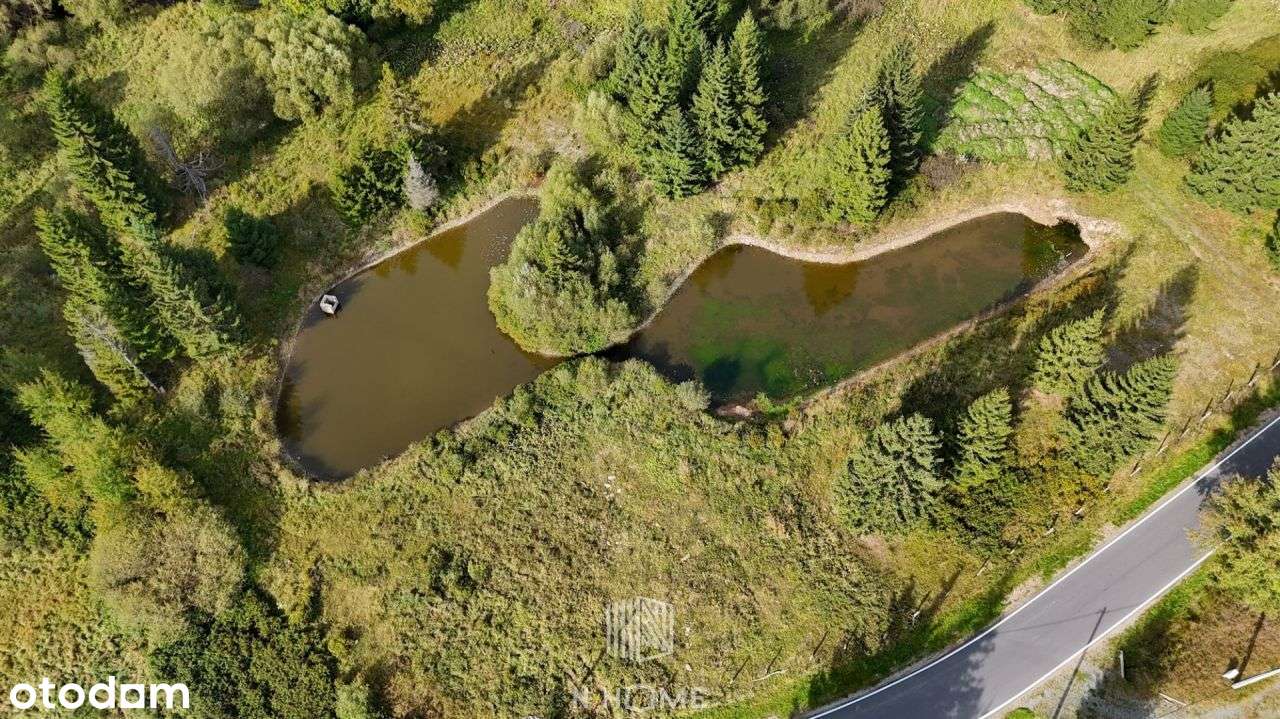 -100 000 zł, Grunt 86a, Stawy, Rzeka, Góry, - Pełny obrazek: 5/10
