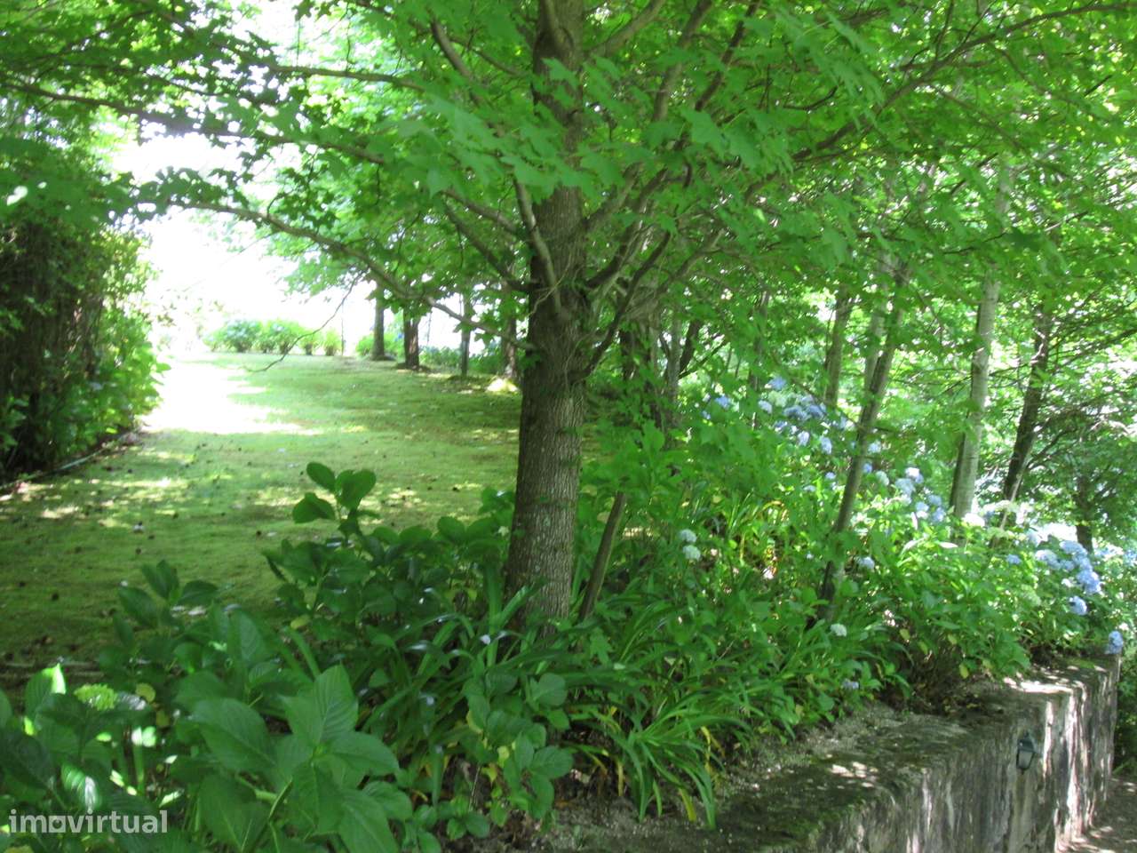 Quintinha no Minho Ponte de Lima * 10.000 m2 * a 90 Km do Porto-45