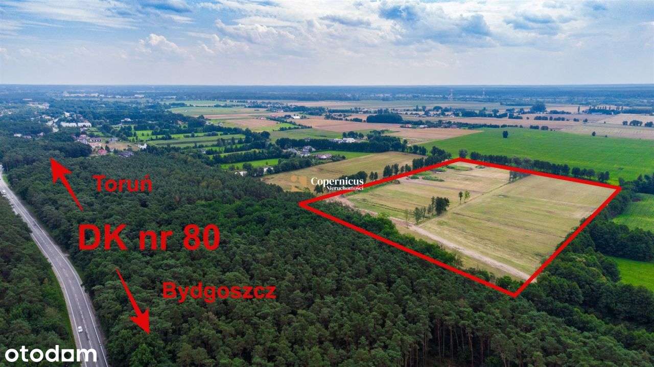 Tuż za Rozgartami. Bez prowizji. Działki z Wz - Pełny obrazek: 4/8