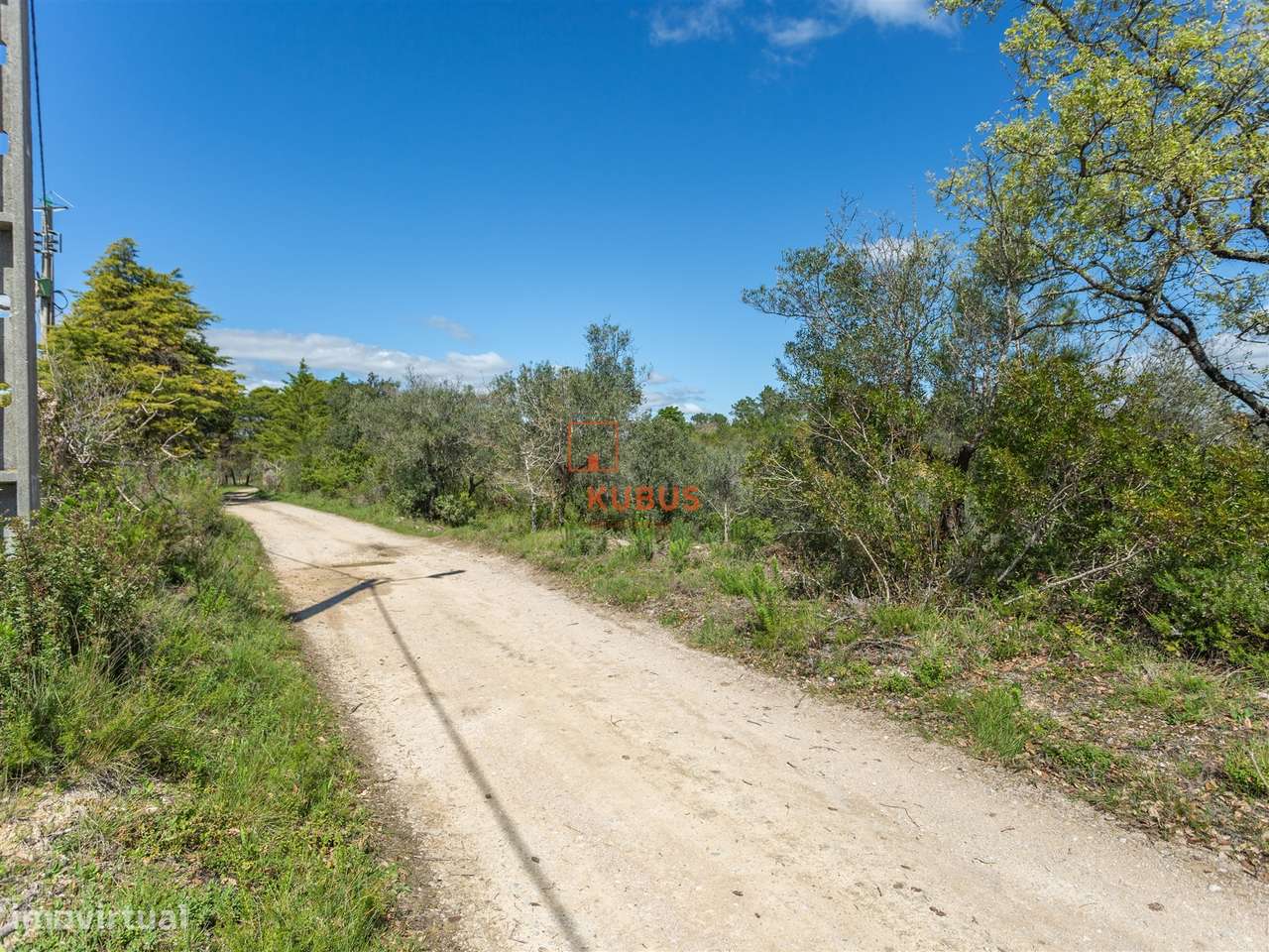 Terreno Rústico  Venda em Olaia e Paço,Torres Novas - Grande imagem: 5/11