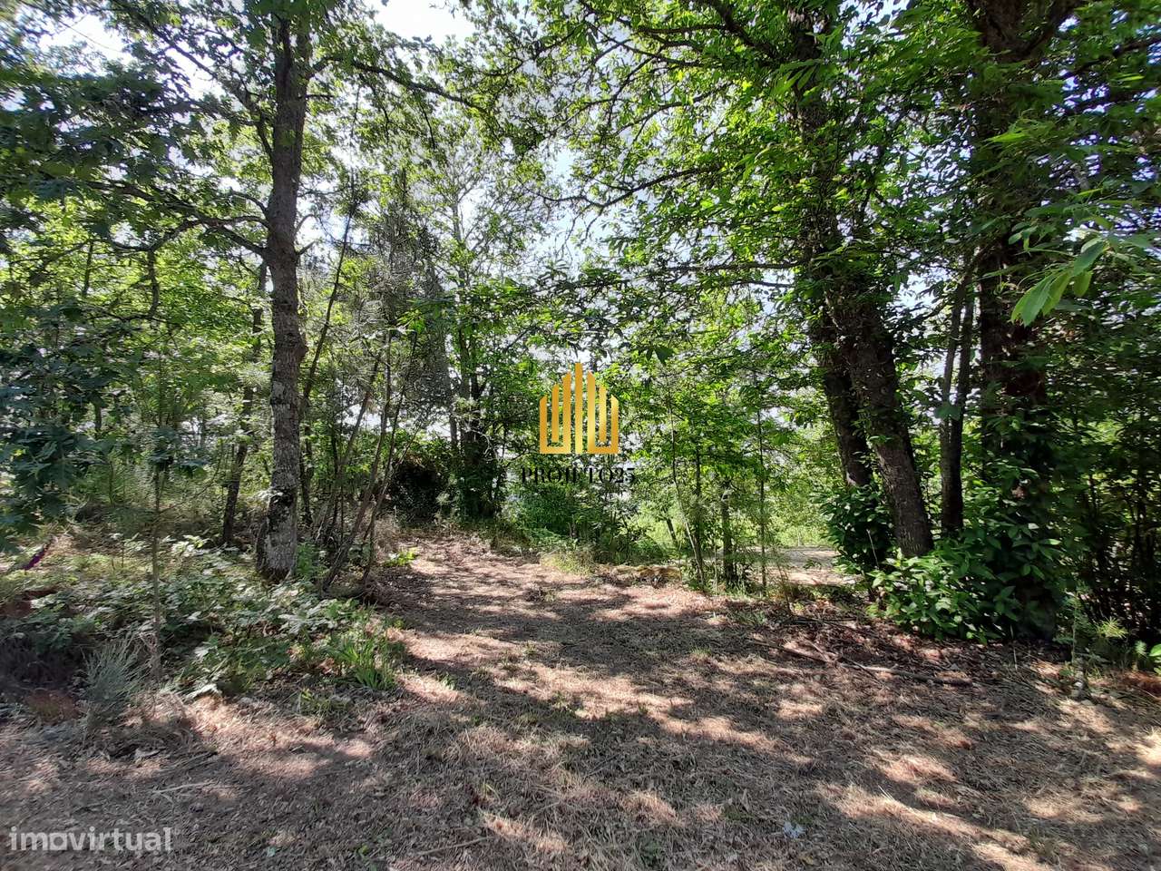 Terreno único com 21.500 m² Zona Vinhateira - Projeto Turístico-26