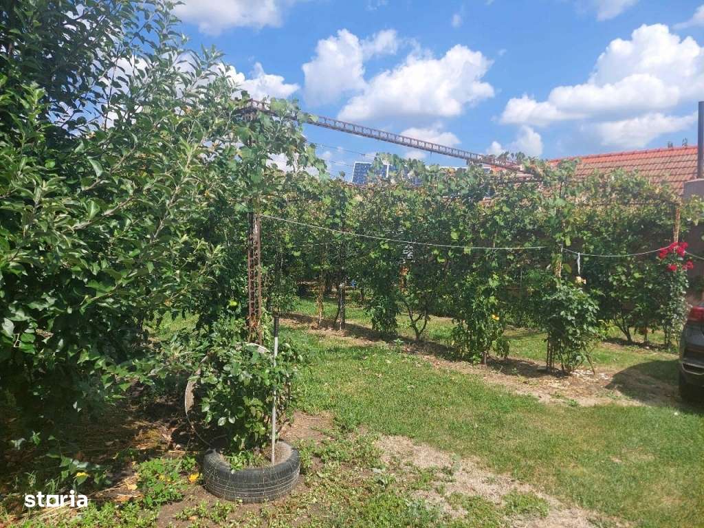 Livada cu cabana si lac (12.ooo mp) la Dostat - Imagine principală: 5/20