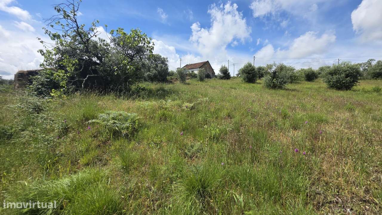 Excelente Terreno para Moradia a 5 kms de Tomar-19