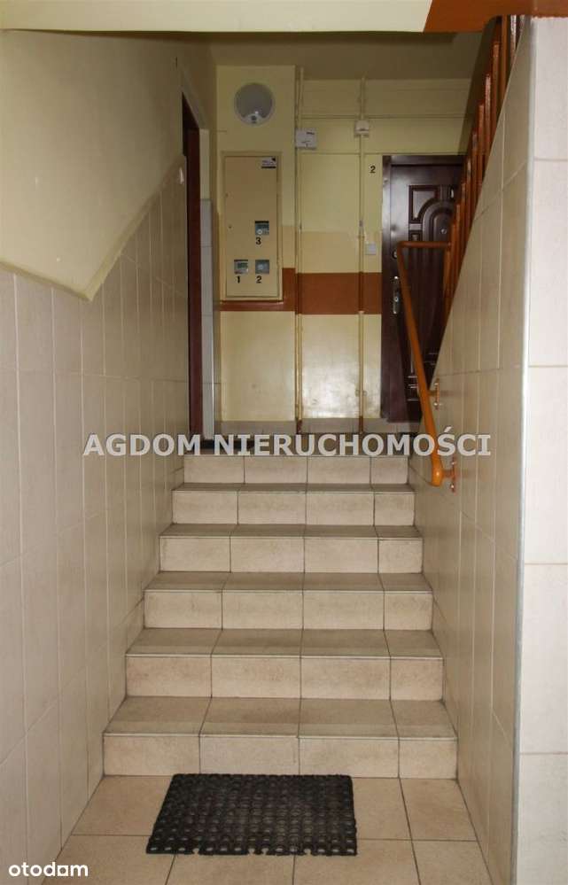 Przytulne 36m kw -os.Południe-14