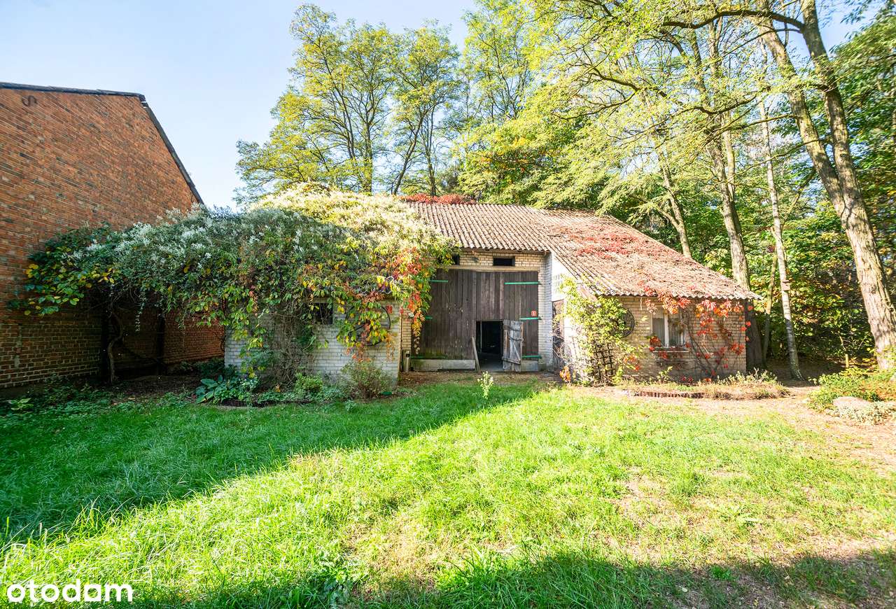 Malownicze siedlisko pod Łowiczem-8