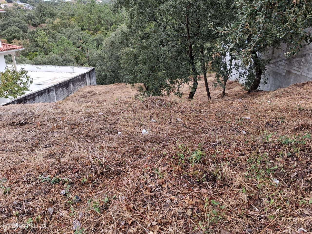 Lote em Zona Nobre de Pombal-3