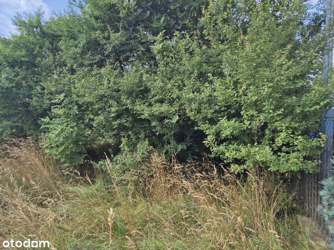 Działka, 719 m², Wejherowo-8