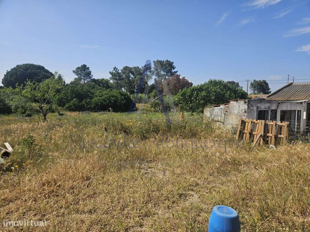 Quinta com 3 Habitações | Pinhal Novo | Terreno 5.400 m²-4