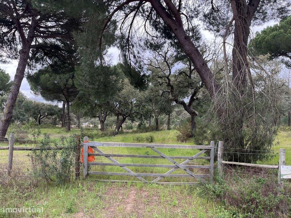 Exclusividade e Natureza: Terreno de Prestígio na Mata do Duque II - S - Grande imagem: 5/20
