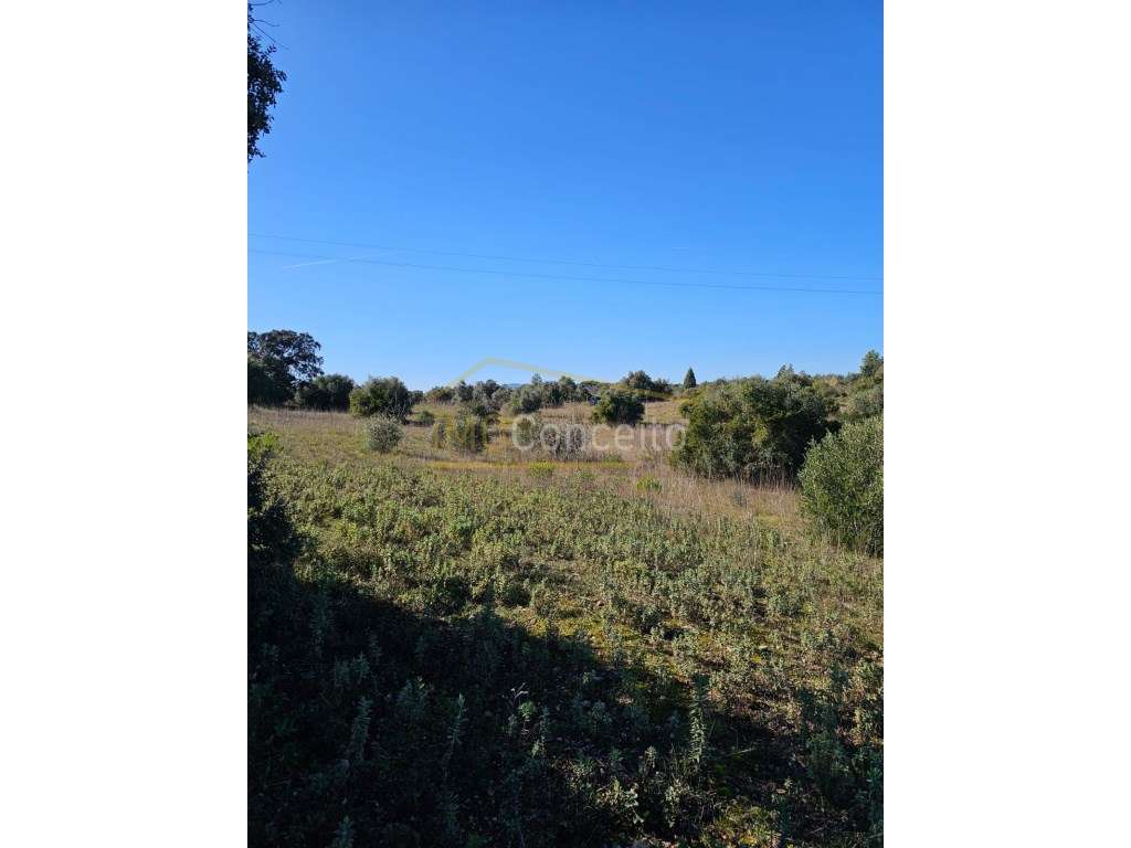 Terreno | Lamarosa - Grande imagem: 5/5