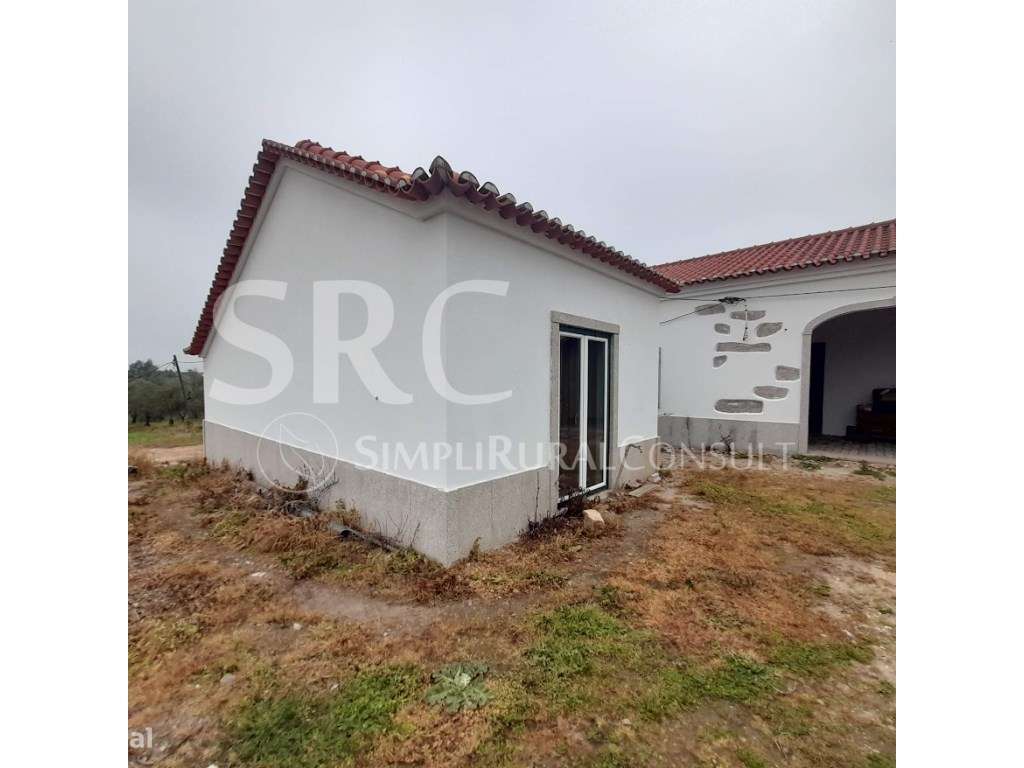 Herdade do olival das Barreiras-7