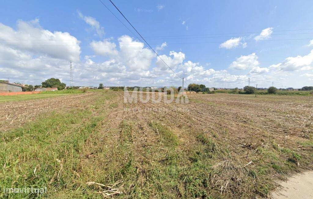 Terreno Espetacular em Avanca: Oportunidade Única! - Grande imagem: 3/3