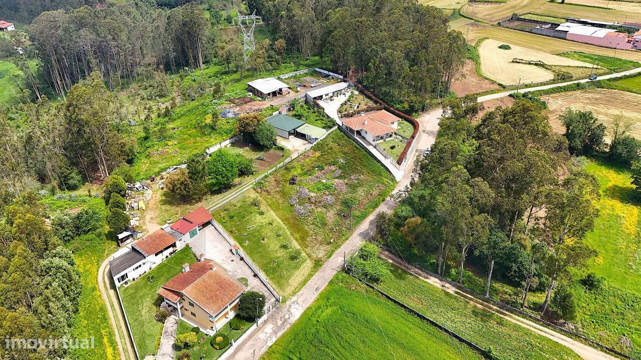 Terreno para construcao em Cucujães - Grande imagem: 3/11