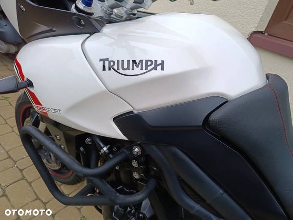 Triumph Tiger - 10