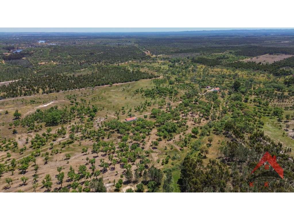 HERDADE DO BARRANCO - OPORTUNIDADE ÚNICA PARA TURISMO E INVESTIMENTO-9