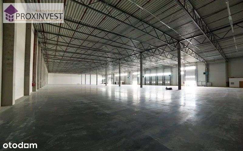 Nowoczesna hala magazynowa - Pełny obrazek: 5/12