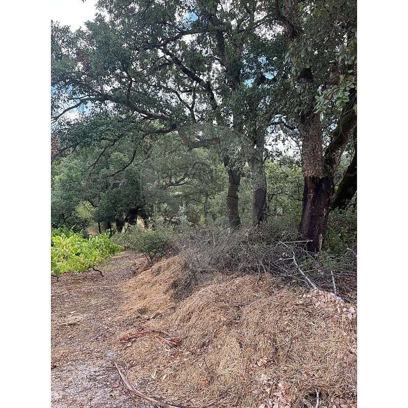 Terreno  para venda - Grande imagem: 2/17