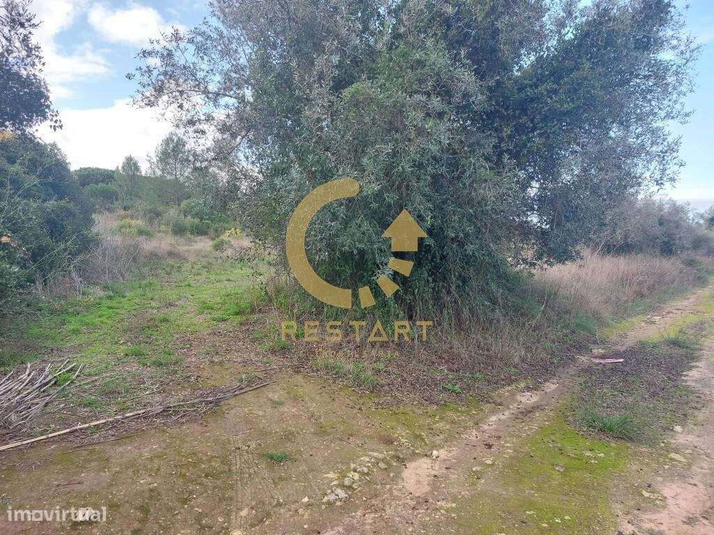 Terreno em Azeitão para venda com 10.000m2 - Grande imagem: 4/60